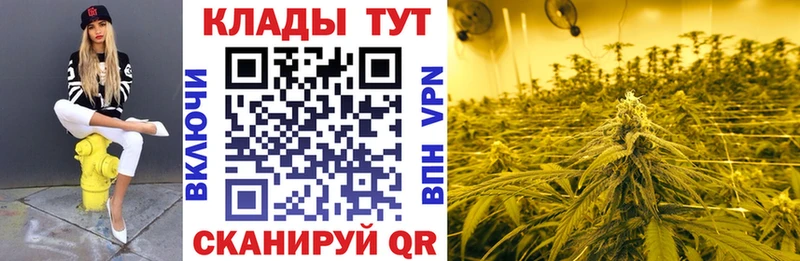 Как найти наркотики Карачев ЭКСТАЗИ  COCAIN  ГАШ  Меф мяу мяу  Конопля  АМФ 
