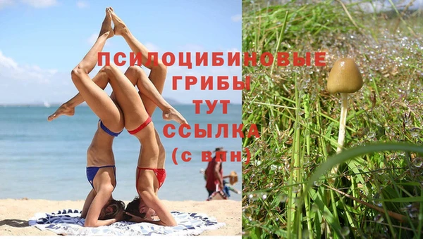 эйфоретик Алзамай