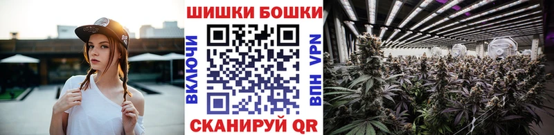 shop какой сайт  MEGA онион  Карачев  Конопля семена 